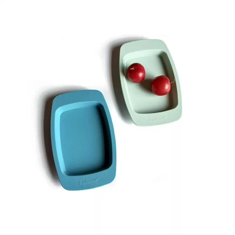 Taplemat Silicone Bone Dish
